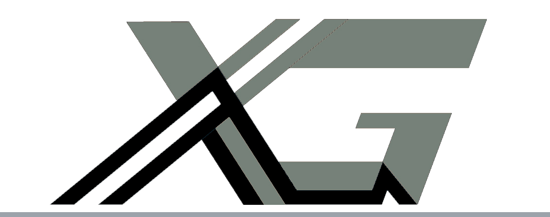 XGARCH