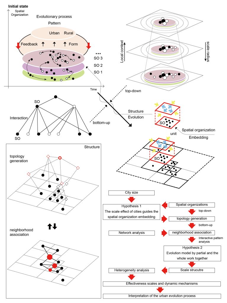 Motion and fixation: The urban evolution through the reconfiguration of  scale structure